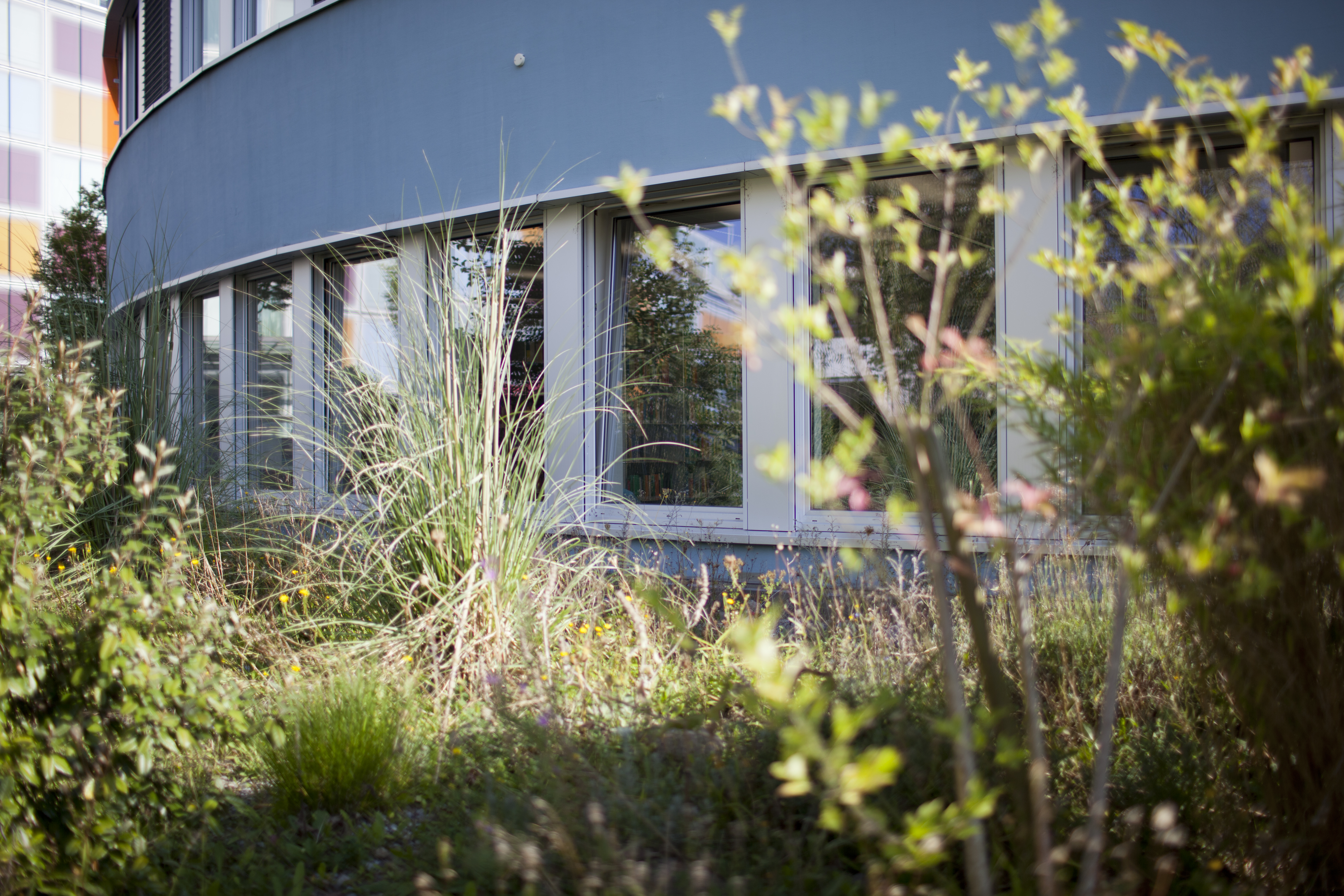 Cover image for Recherche Modul 29